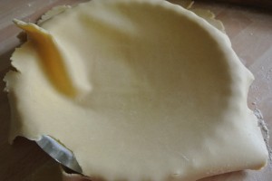 Cheese & Onion Pie 016